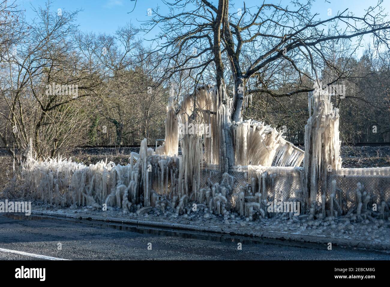 Eiszapfen und Eisformationen auf Bäumen am Straßenrand während eines kalten Winters bekannt als das Biest aus dem Osten in Hampshire, Großbritannien, im Winter, Mitte Februar 2021 Stockfoto