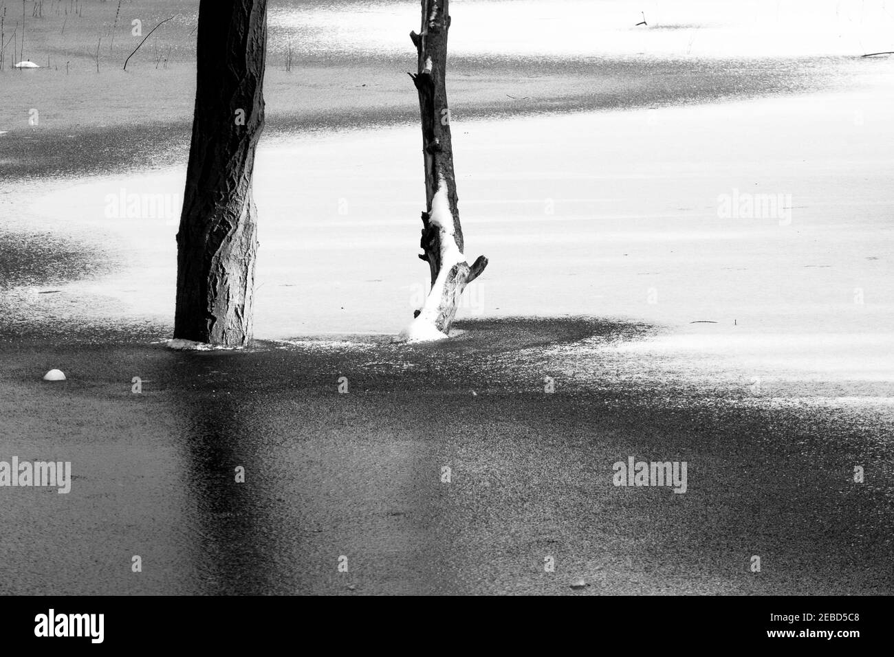 Minimalistische schwarz-weiße Winterlandschaft, Großbritannien. Stockfoto