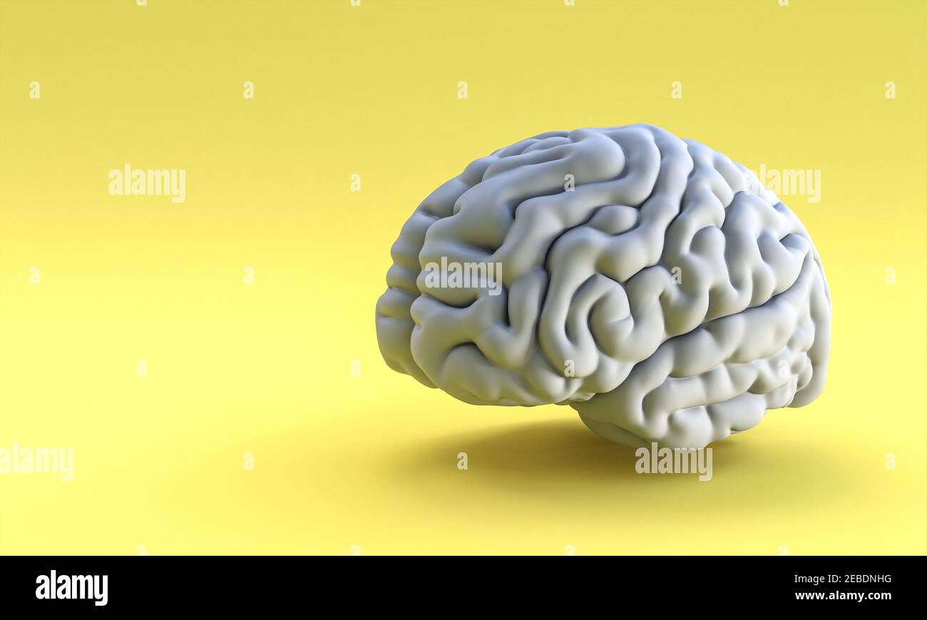 Graues menschliches Gehirn auf gelbem Hintergrund. 3D Rendern. Stockfoto