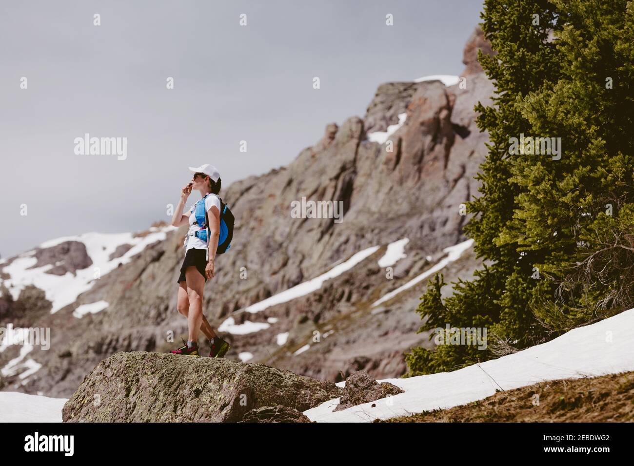 Wanderläuferin nippt Wasser vor Kiefern Schnee und Felsen Stockfoto