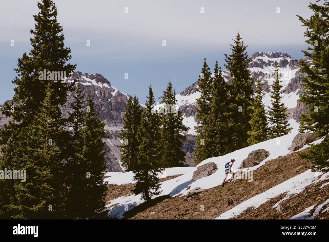 Frau Ultra Trailrunner wandert den steilen Hang mit Bäumen hinauf Und Berge Stockfoto