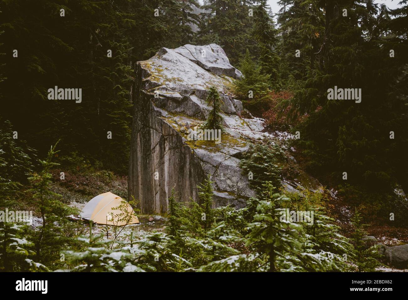 Ein gelbes Zelt im Wald umgeben von hoch aufragenden Felsbrocken und Bäume Stockfoto