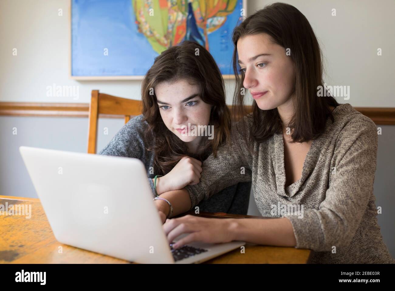 Zwei junge kaukasische Frauen arbeiten zusammen an einem Laptop Stockfoto