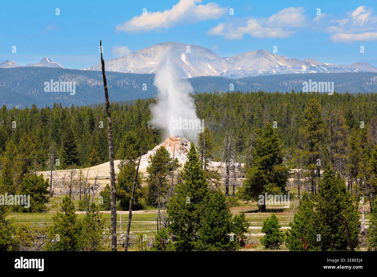 White Dome Geysir, Firehole Lake Drive, Yellowstone National Park Stockfoto