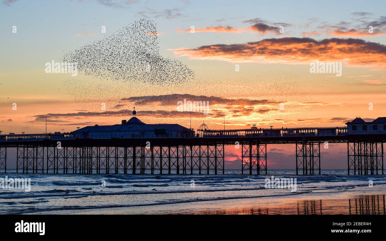 Brighton UK 12th February 2021 - Stare schaffen eine Valentine Herz Form in den Himmel über Brighton Palace Pier während ihrer täglichen Murmuration bei Sonnenuntergang an diesem Abend nach einem schönen sonnigen, aber kalten Tag an der Südküste : Credit Simon Dack / Alamy Live News Stockfoto