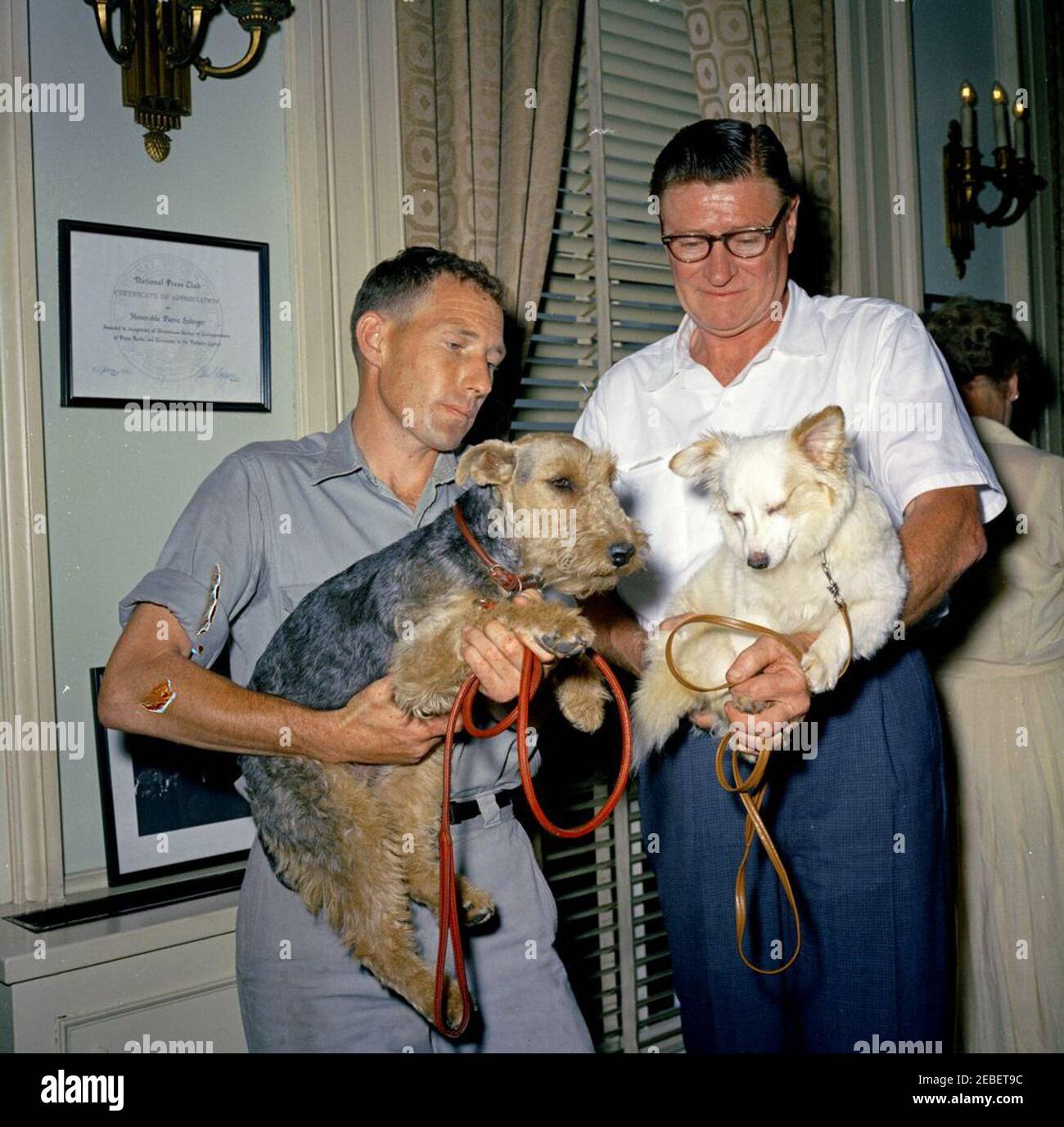 Puschinka, ein Hund, der von Nikita Chruschtschow, dem Premierminister der Sowjetunion (UdSSR), an Präsident Kennedy geschenkt wurde. Ankunft des Hundes Puschinka, ein Geschenk des sowjetischen Premier Nikita Chruschtschow an Präsident John F. Kennedy und Familie. (L-R) Hassel Adams; Charlie (ein Welsh Terrier); Pushinka; und Robert M. Redmond, Chief Gardener des Weißen Hauses. White House Pressesprecher Pierre Salingeru2019s Büro, White House, Washington, D.C. Stockfoto