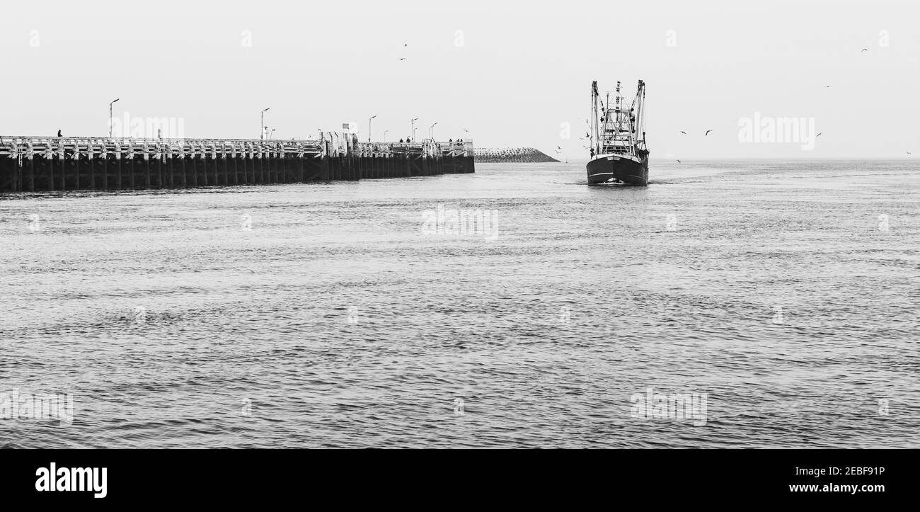 Nostalgie eines Fischerbootes, das am Holzsteg in den Hafen von Oostende (Ostende) einfährt, Belgien. Stockfoto