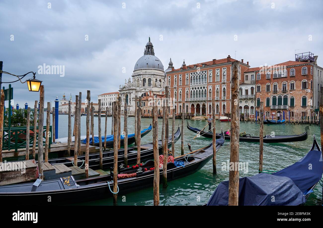 Gondeln mit der Basilika Santa Maria della Salute im Hintergrund, Venedig, Venetien, Italien Stockfoto