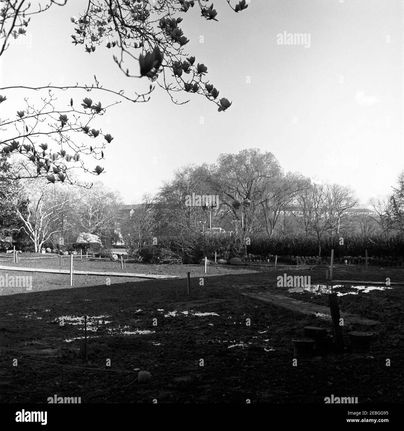 Rosengarten Rekonstruktion, Fortschritte Fotos. Bauarbeiten im Rosengarten des Weißen Hauses sind im Gange. Washington, D.C. Stockfoto