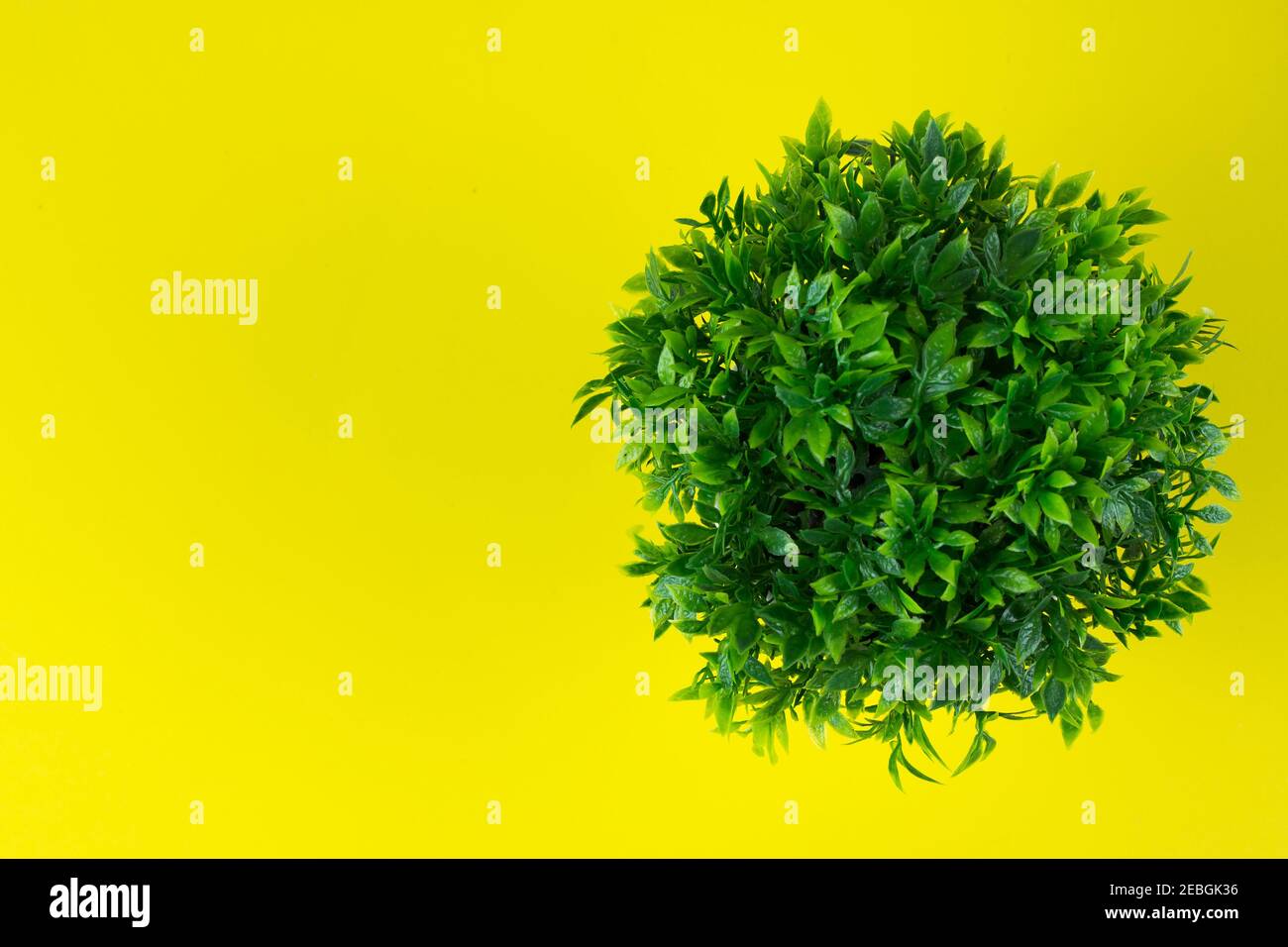 Weltkugel Form von grünem Gras auf gelbem Hintergrund. Eco-Konzept, Grüne Energie Stockfoto