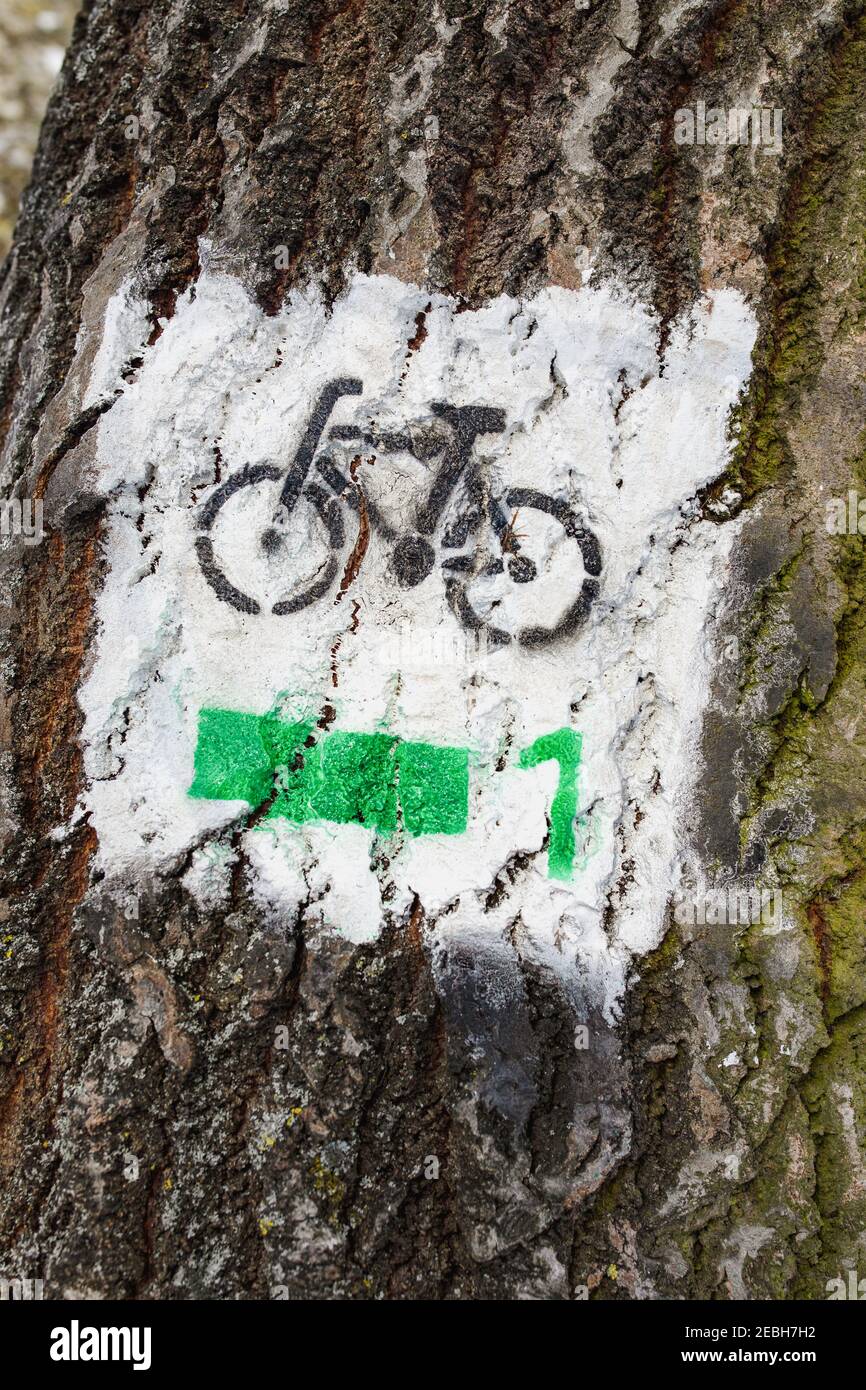 Fahrradtouristenmarkierung, bemalt auf Baumstamm, Stadtpark, Gniezno, Polen Stockfoto