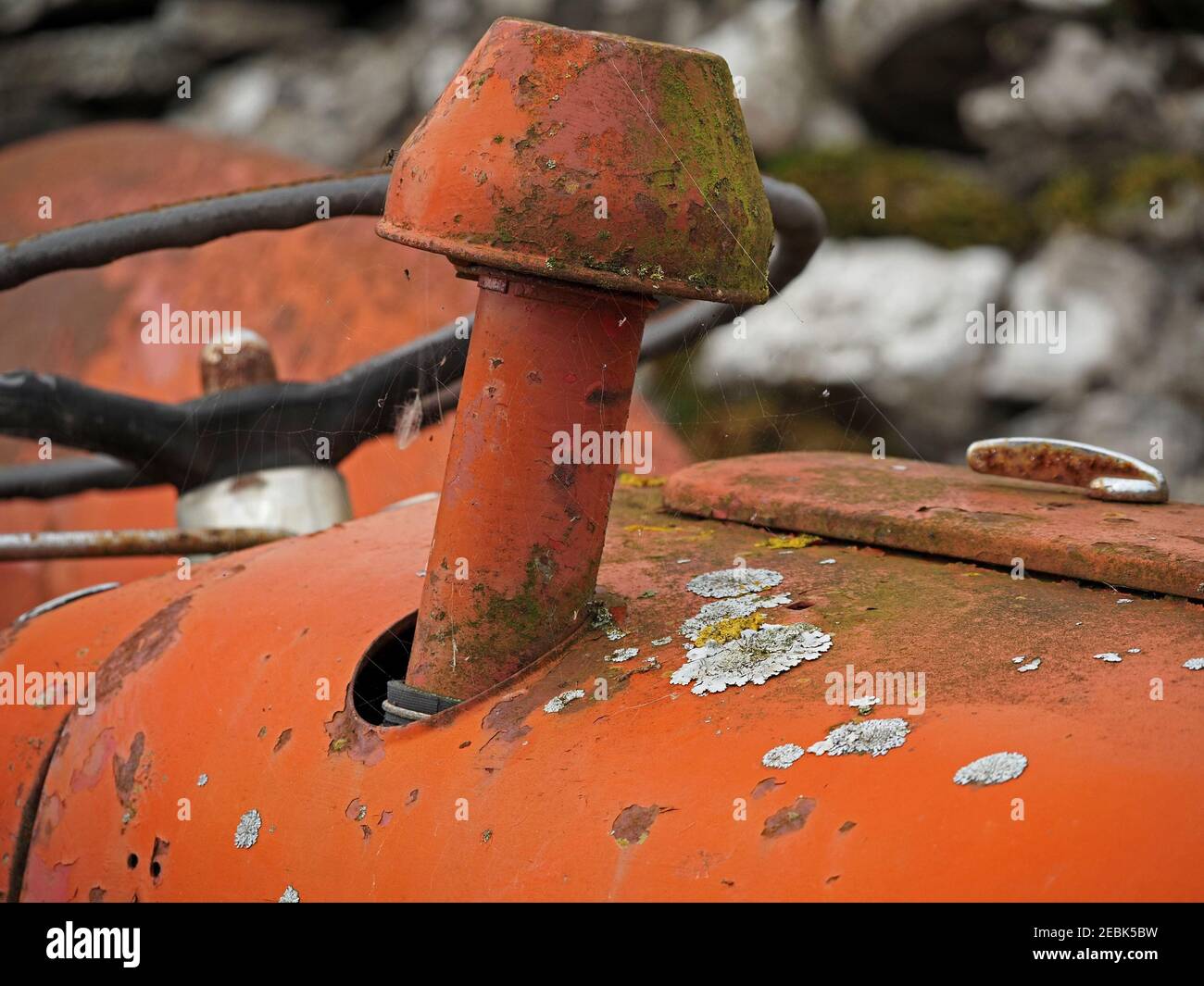 Weiße und gelbe Flechten wachsen auf verblassten, verrosteten orangeroten Farben eines verlassenen alten Traktors auf einer Farm in Cumbria, England, Großbritannien Stockfoto