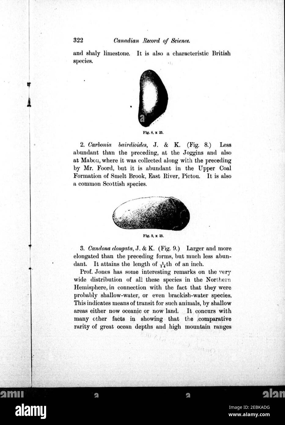 Anmerkung zur karbonischen Entomostraca aus Nova Scotia, im Peter Redpath Museum, bestimmt und beschrieben von Prof. T. Rupert Jones, F.R. S., und Herr Kirby Stockfoto