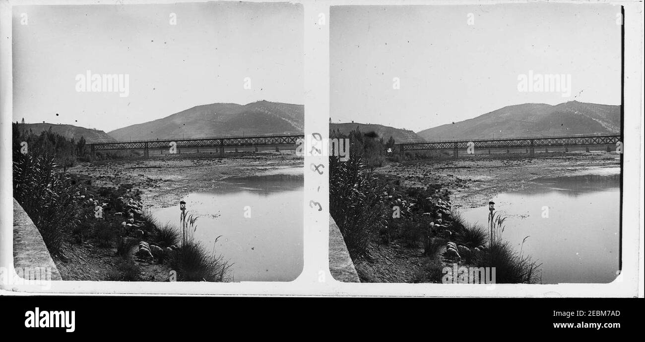 Nova vista dels ramas al matí al costat del riu Llobregat. Stockfoto