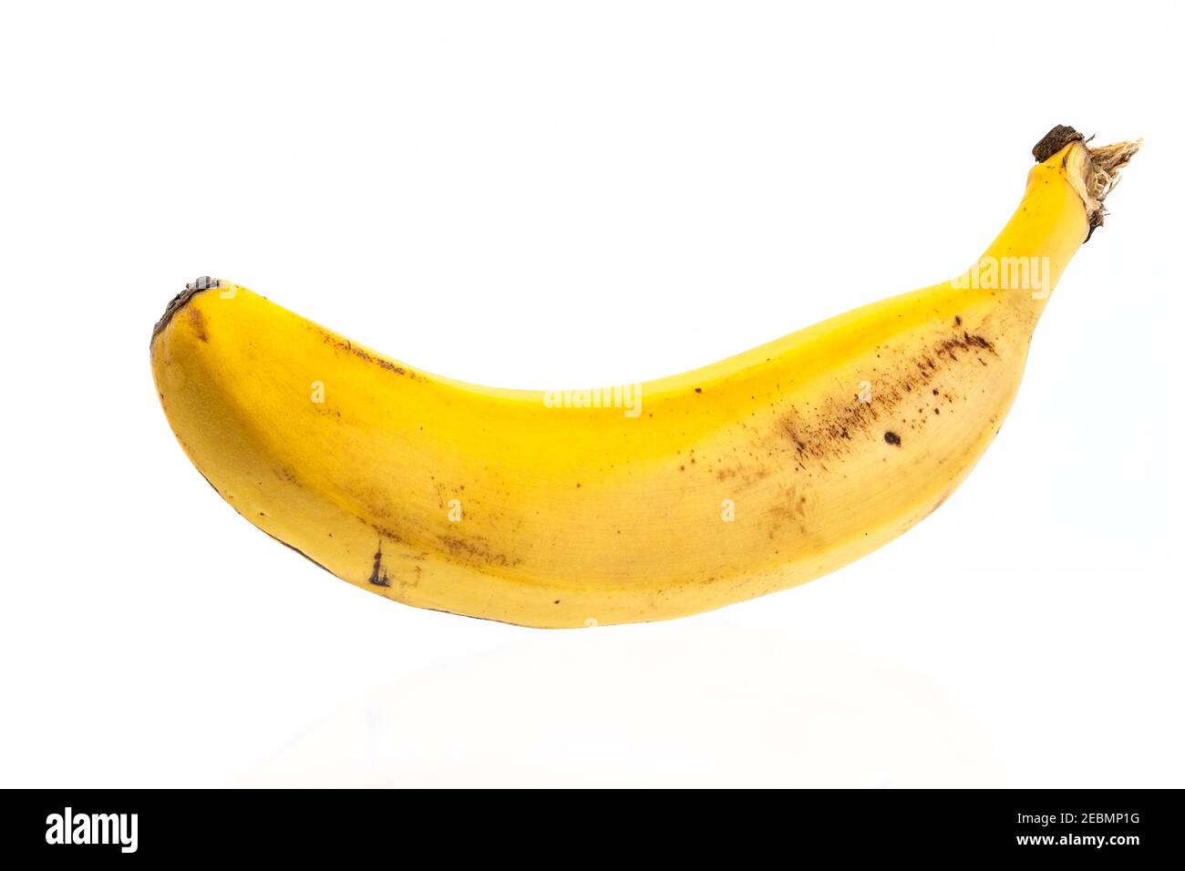 Eine einzige Bananenart platano de Canarias isoliert auf weiß Hintergrund Stockfoto