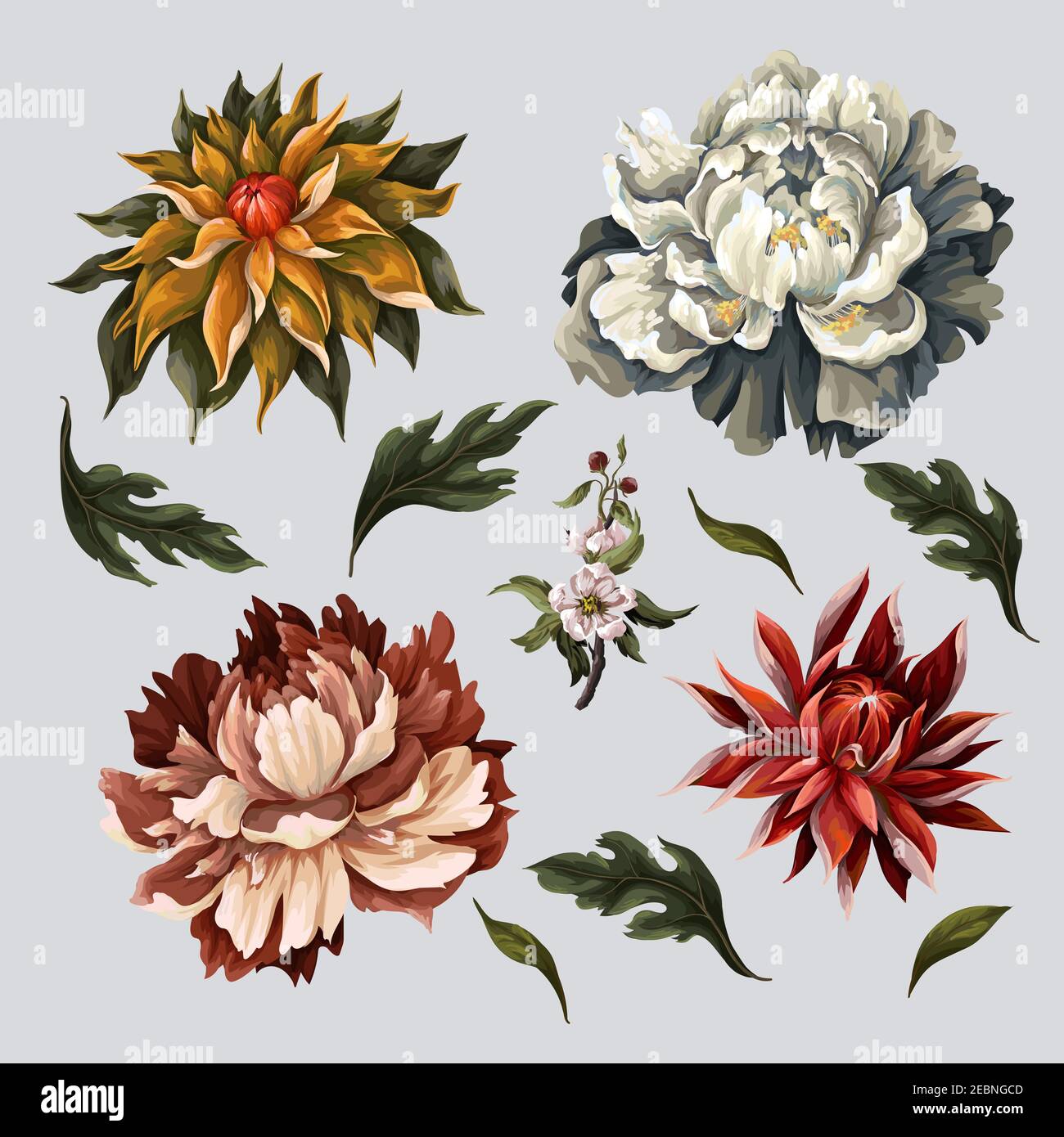 Vintage dunkle Blüten wie Pfingstrose, Rose und Chrysantheme isoliert. Vektor. Stock Vektor