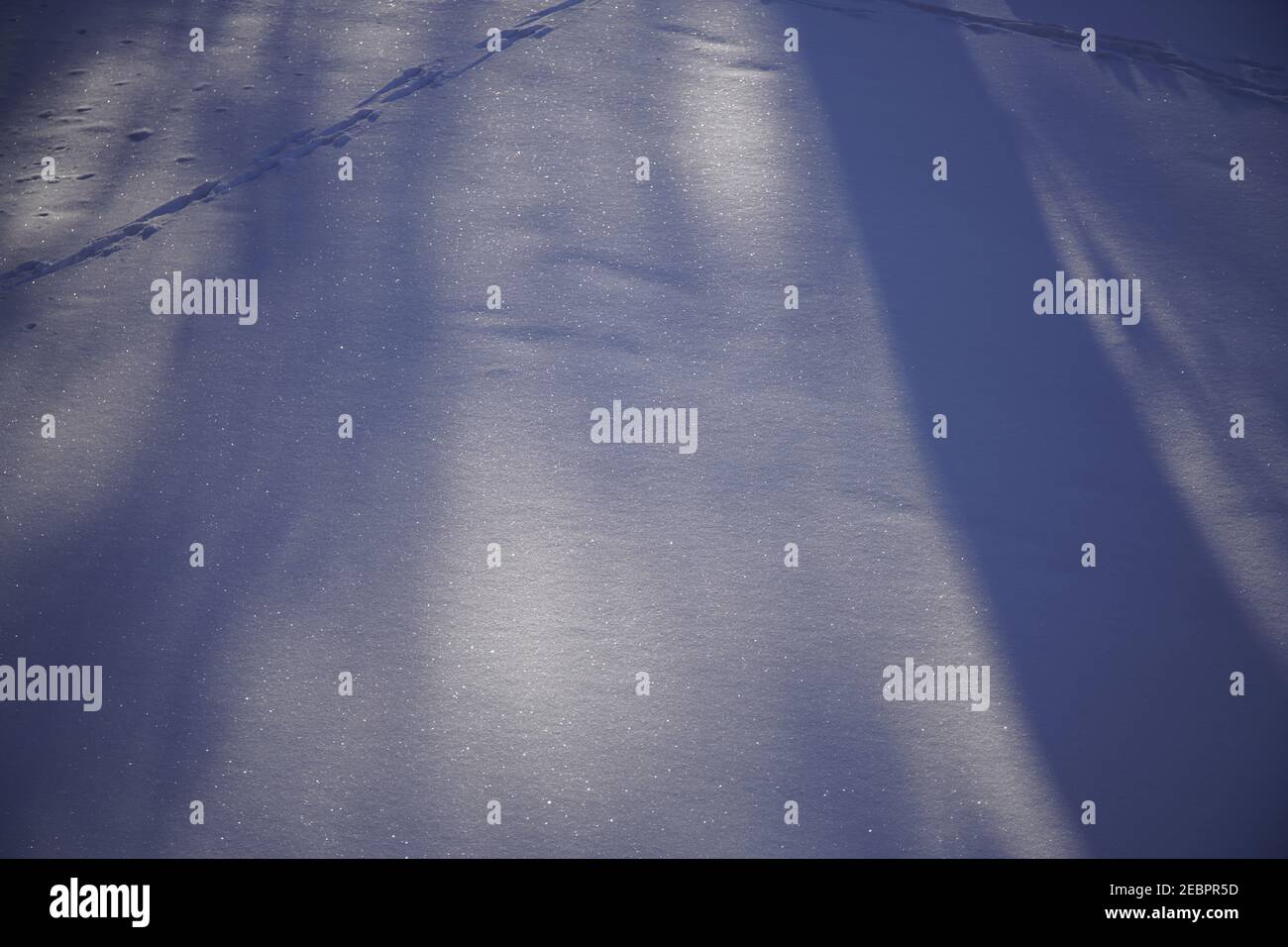 Der Schatten des Baumes auf Schneeverwehung im Wintermorgen Stockfoto