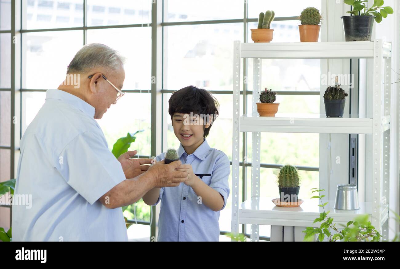 Der pensionierte Großvater verbrachte die Ferien mit seinem Enkel, der sich um den Innengarten kümmerte. Er beschreibt die Eigenschaften verschiedener Speci Stockfoto