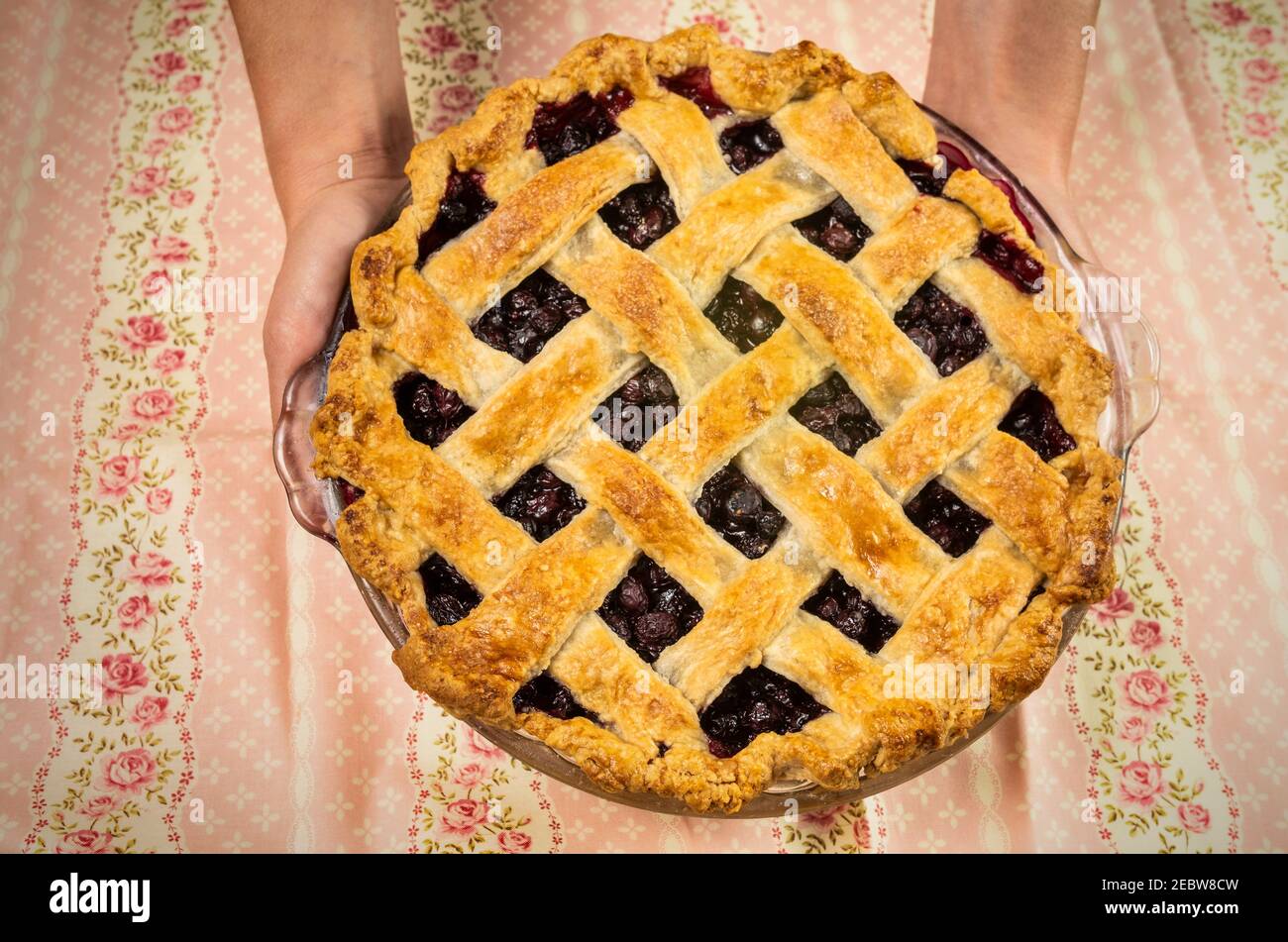 Nahaufnahme der Hände mit frisch gebackenem Heidelbeer-Kuchen Stockfoto