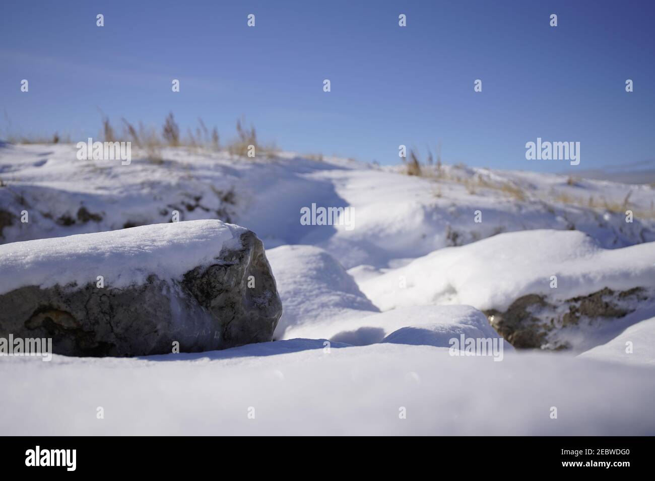 Grand Haven, Michigan, Februar 2021, schneebedeckte Felsen und Hügel, Winterpflanzen Stockfoto