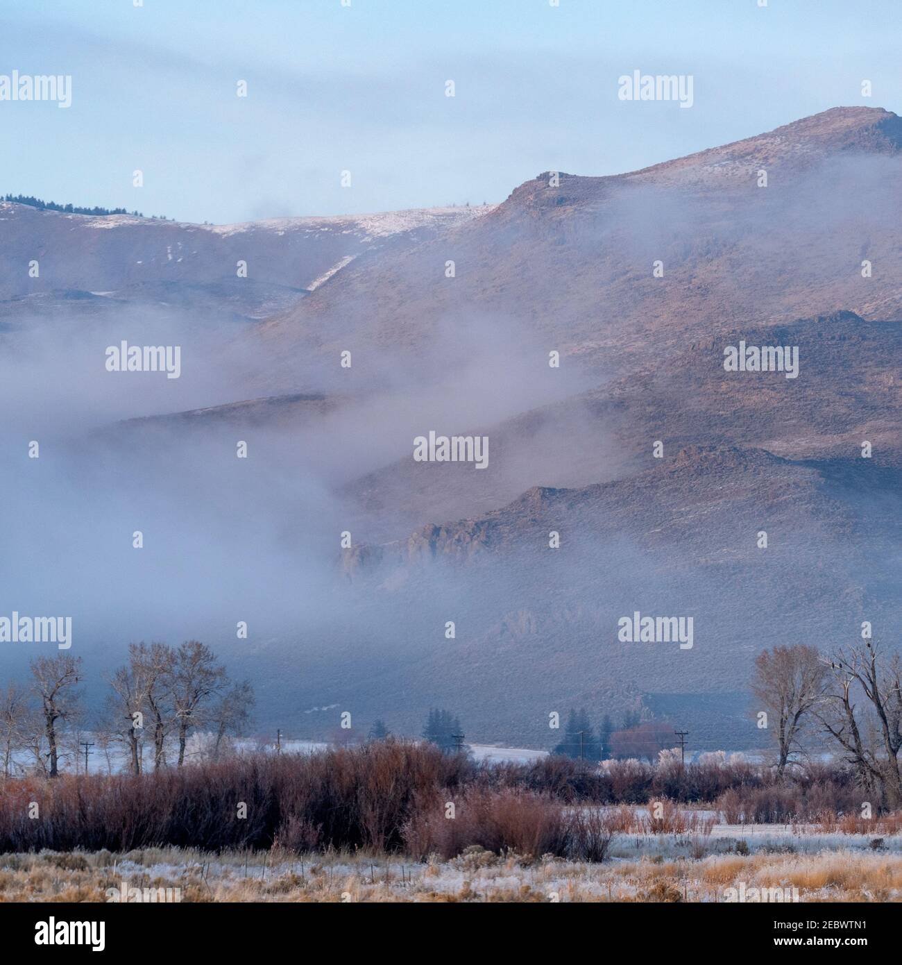 USA, Idaho, Bellevue, Winterlandschaft mit Bergen im Nebel Stockfoto