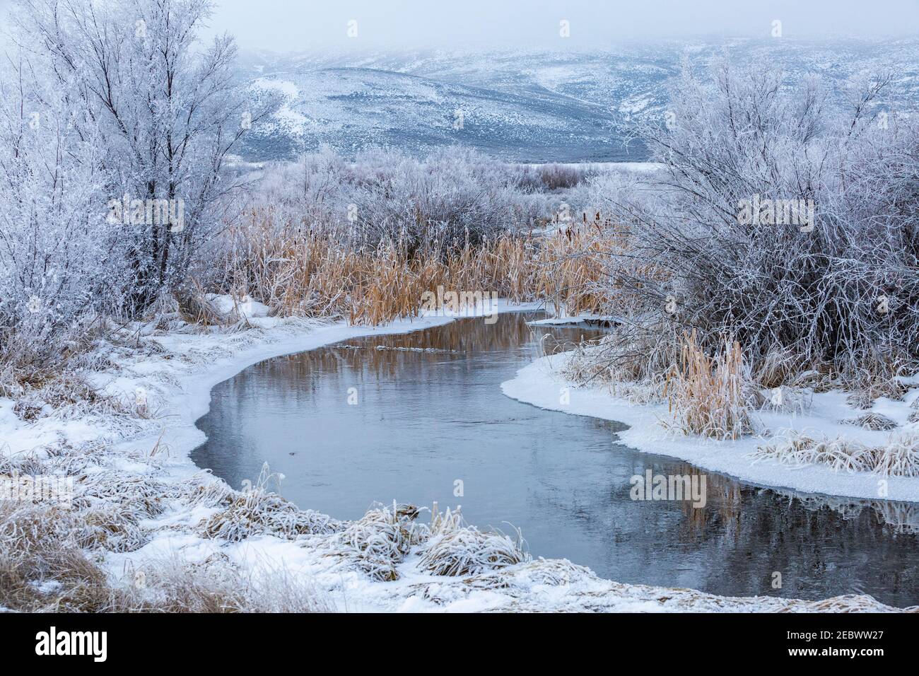 USA, Idaho, Bellevue, verschneite Winterlandschaft mit Bach unter Bäumen Stockfoto