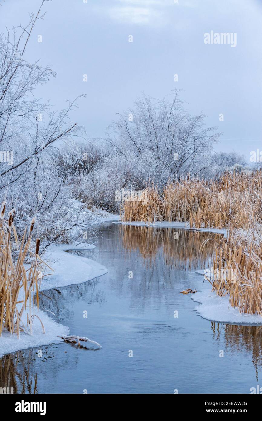 USA, Idaho, Bellevue, verschneite Winterlandschaft mit Bach unter Bäumen Stockfoto