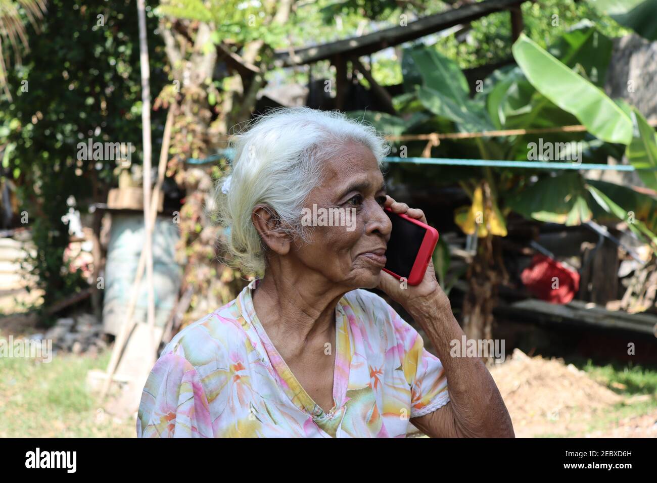 Unter dem Thema "Seniors using current Technology" nutzt Großmutter moderne Technik und Kommunikation zu Hause. Stockfoto