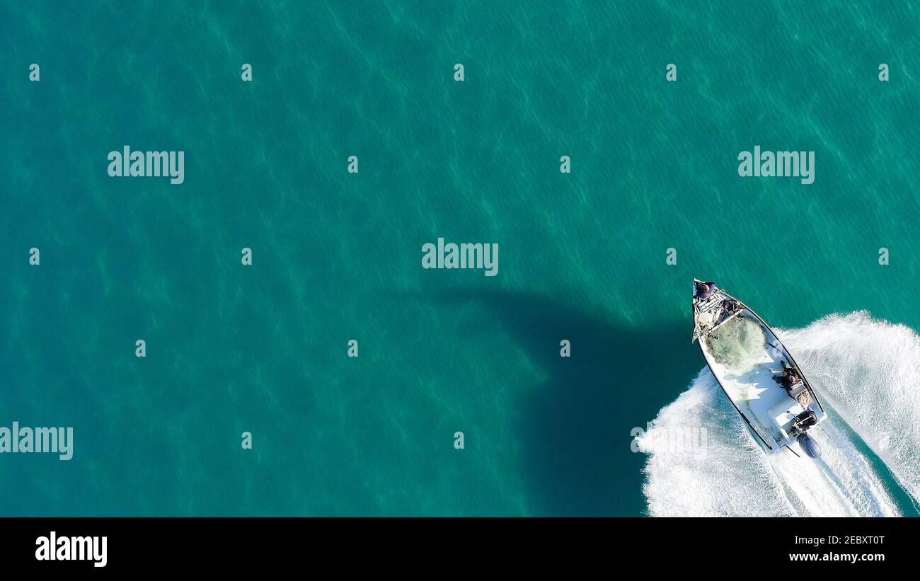 Kleines Fischerboot brüllt über ruhiges glattes Meer, Luftblick. Stockfoto