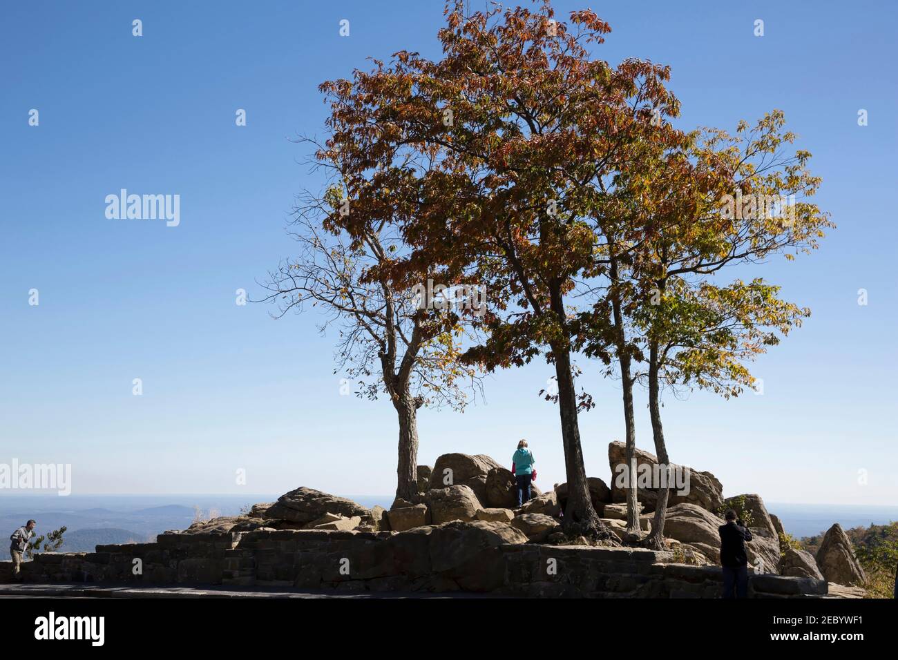 Hazel Mountain Overlook, Skyline Drive, Shenandoah-Nationalpark, Virginia Stockfoto