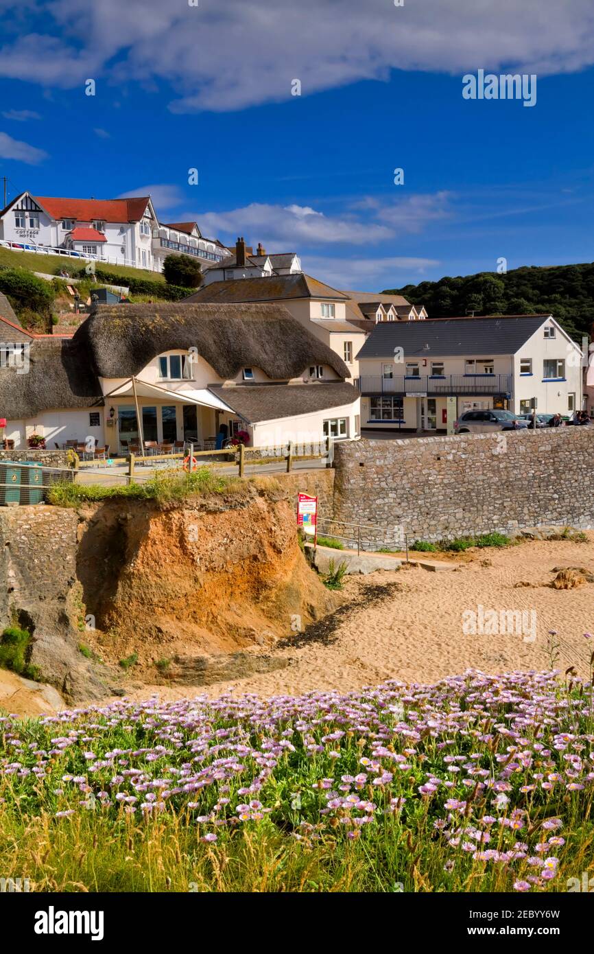 Der Strand und das historische Dorf in Hope Cove, South Hams, Devon. Einige der Hütten in Outer Hope stammen aus dem Mittelalter. Stockfoto