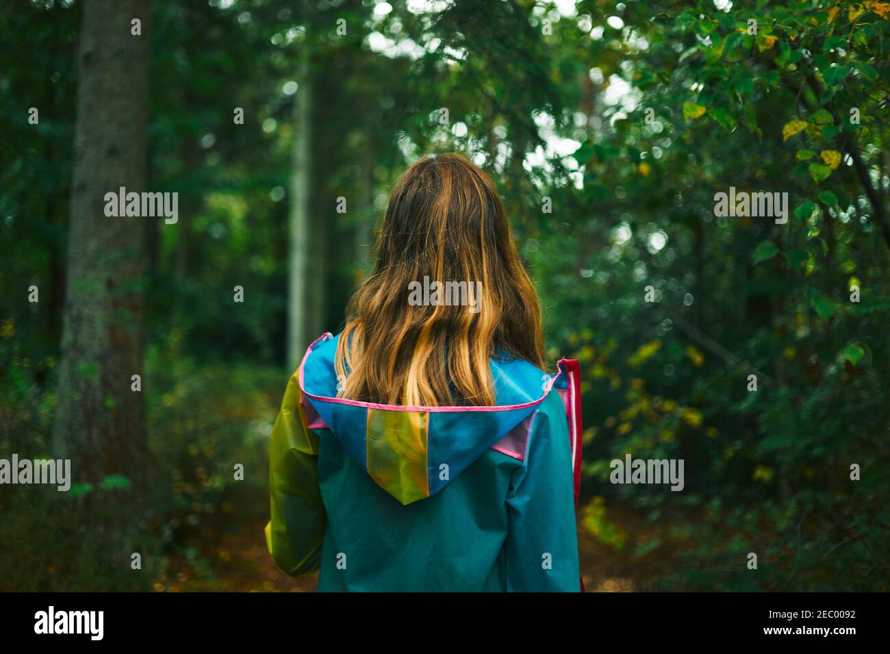 Eine junge Frau, die einen Regenmantel trägt, geht in der Wald an einem Herbsttag Stockfoto