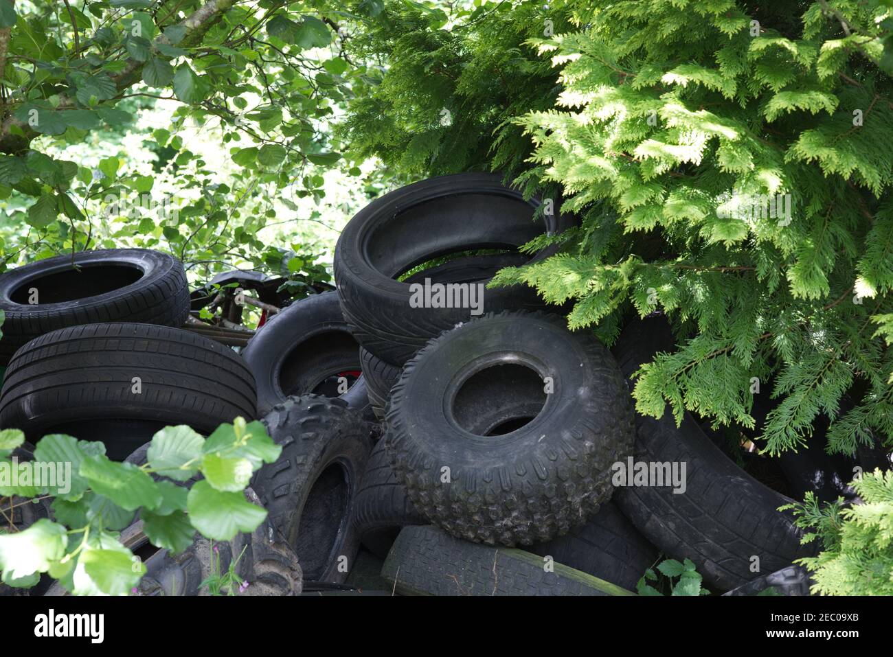 Autoreifen in Land gedumpt, fliegen kippen Stockfoto
