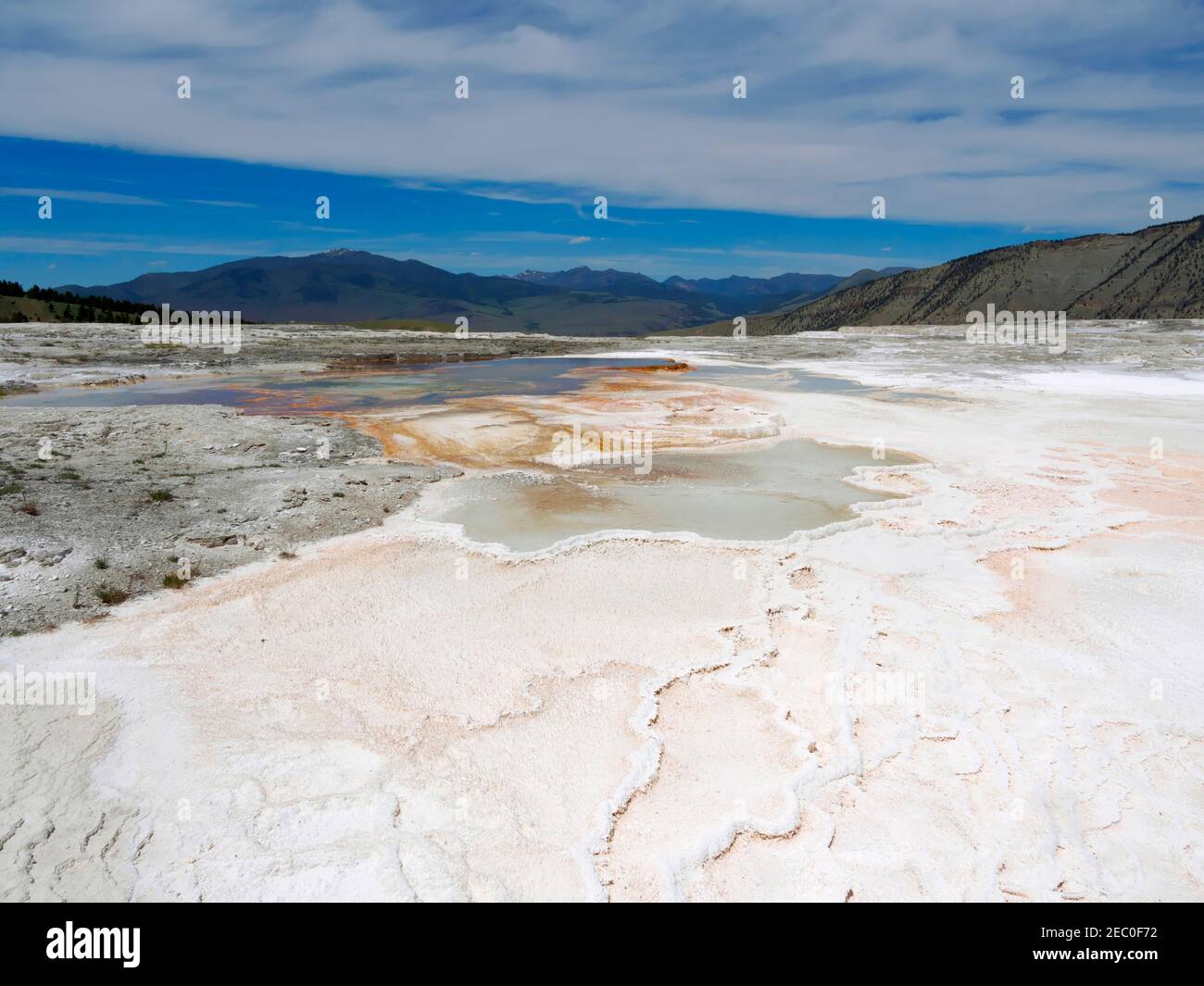 Mammoth Hot Springs, oberen Terrassen, Yellowstone-Nationalpark Stockfoto