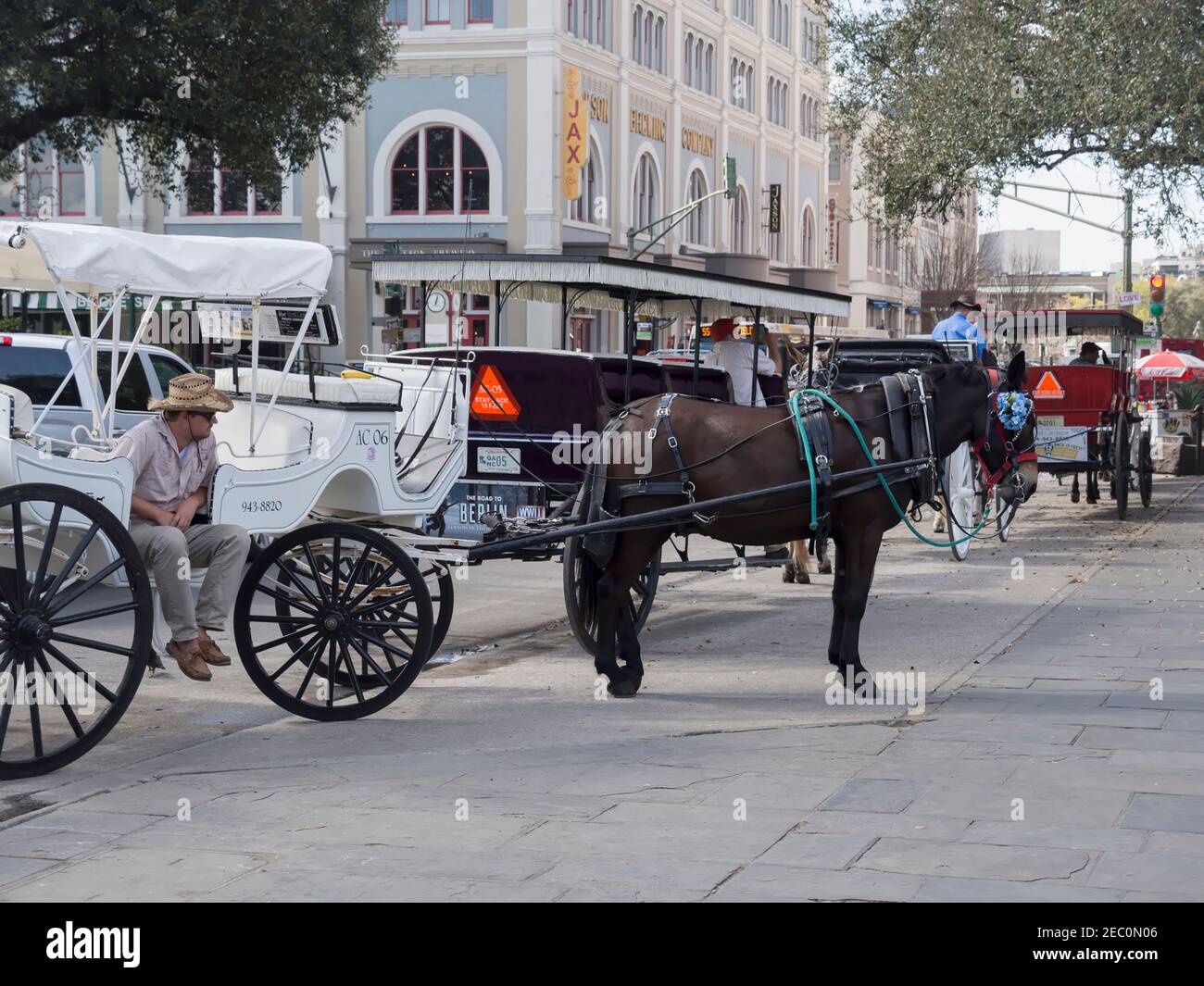Maultier und Kutsche warten auf Touristen vor Jackson Square, New Orleans Stockfoto