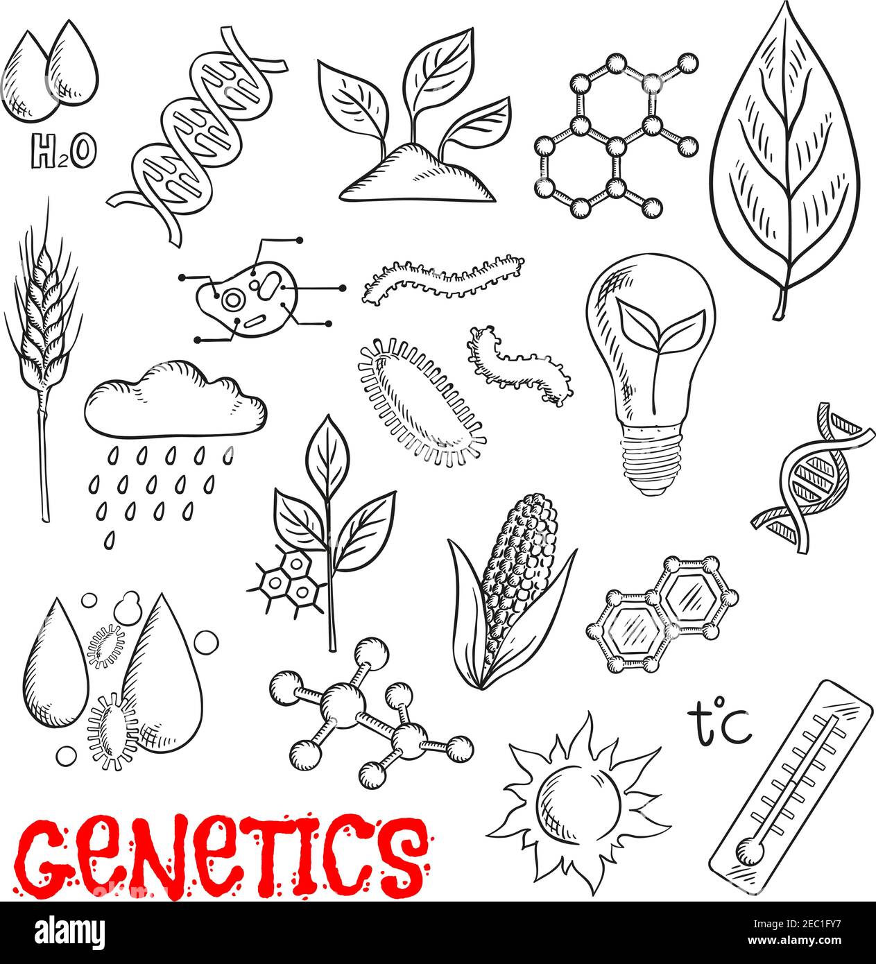 Landwirtschaft und Gentechnologie Skizze mit Symbolen von Mais, Weizen und Sämlinge, Modelle von DNA und Molekülen, pflanzlichen Zellstruktur, Schädlinge, Chemica Stock Vektor