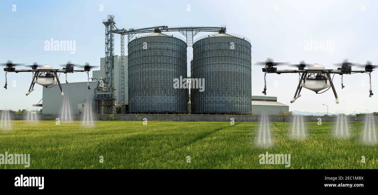 Landwirtschaft Drohne fliegen auf die grüne Reisfelder mit landwirtschaftlichen Silos im Hintergrund. Stockfoto