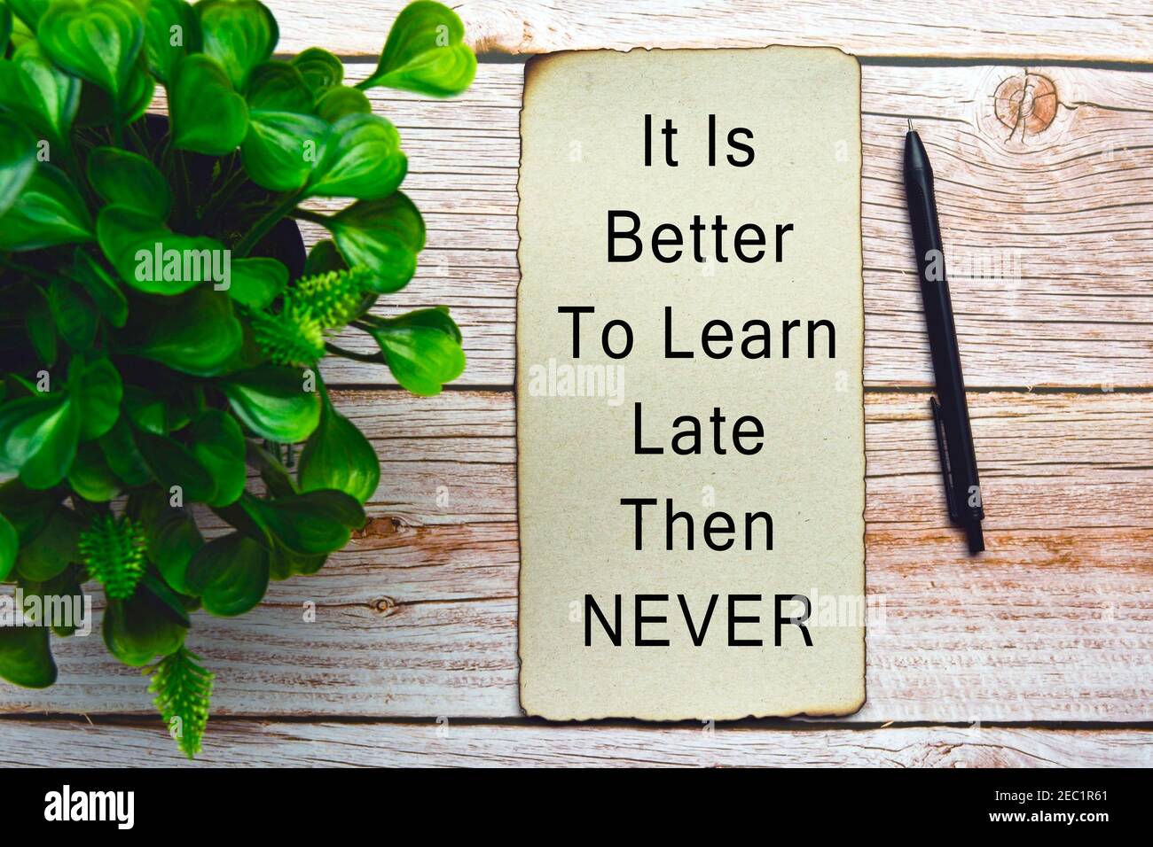Motivierendes und inspirierendes Zitat auf verbranntem Papier mit Grün Pflanze auf hölzernen Schreibtisch - Es ist besser zu lernen Spät dann nie Stockfoto