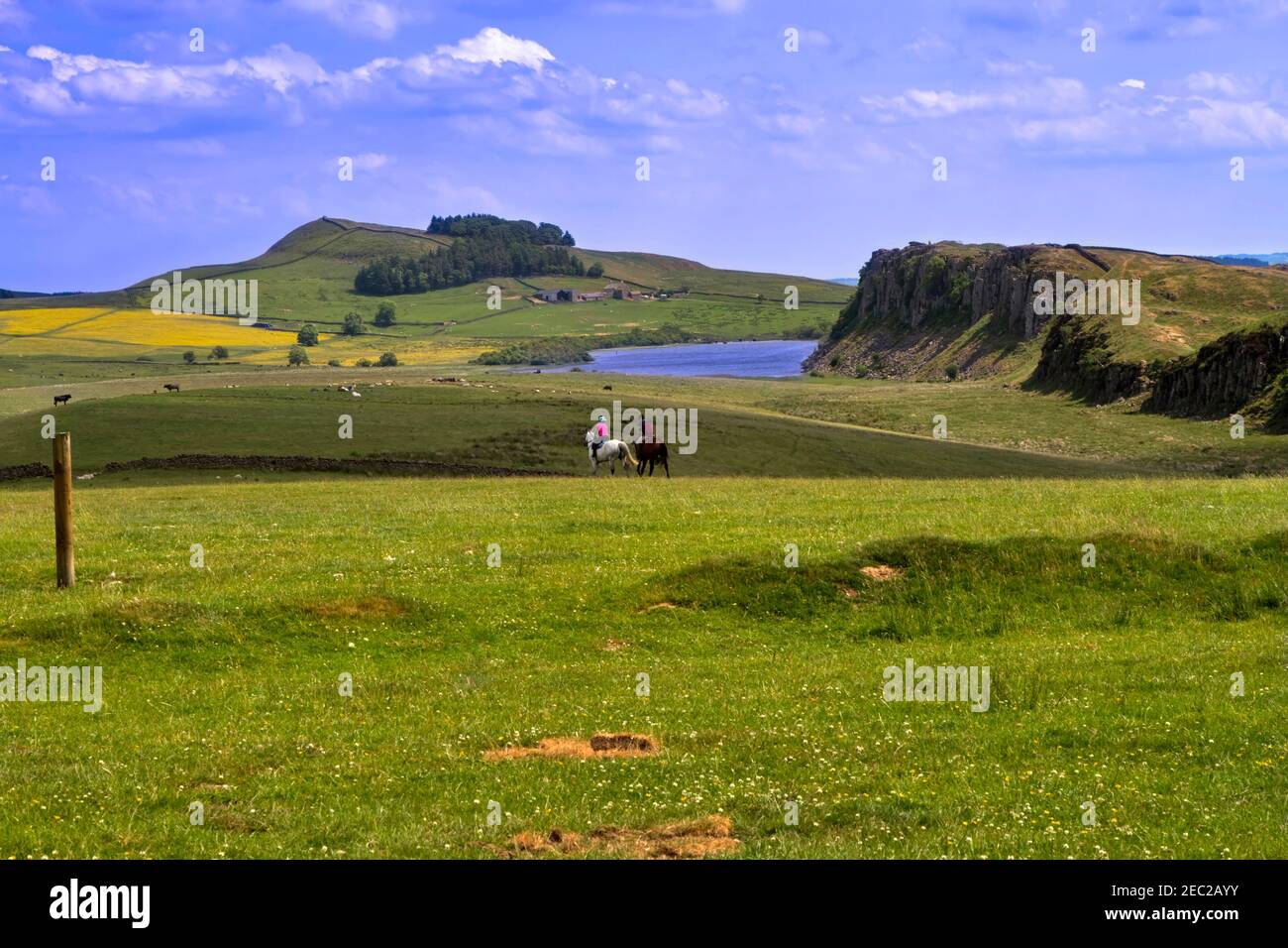 Steel Rigg, Hadrian's Wall, Northumberland. Die hügelige Landschaft von Northumberland und die Dolerite Felsen der Großen Whin Sill Stockfoto