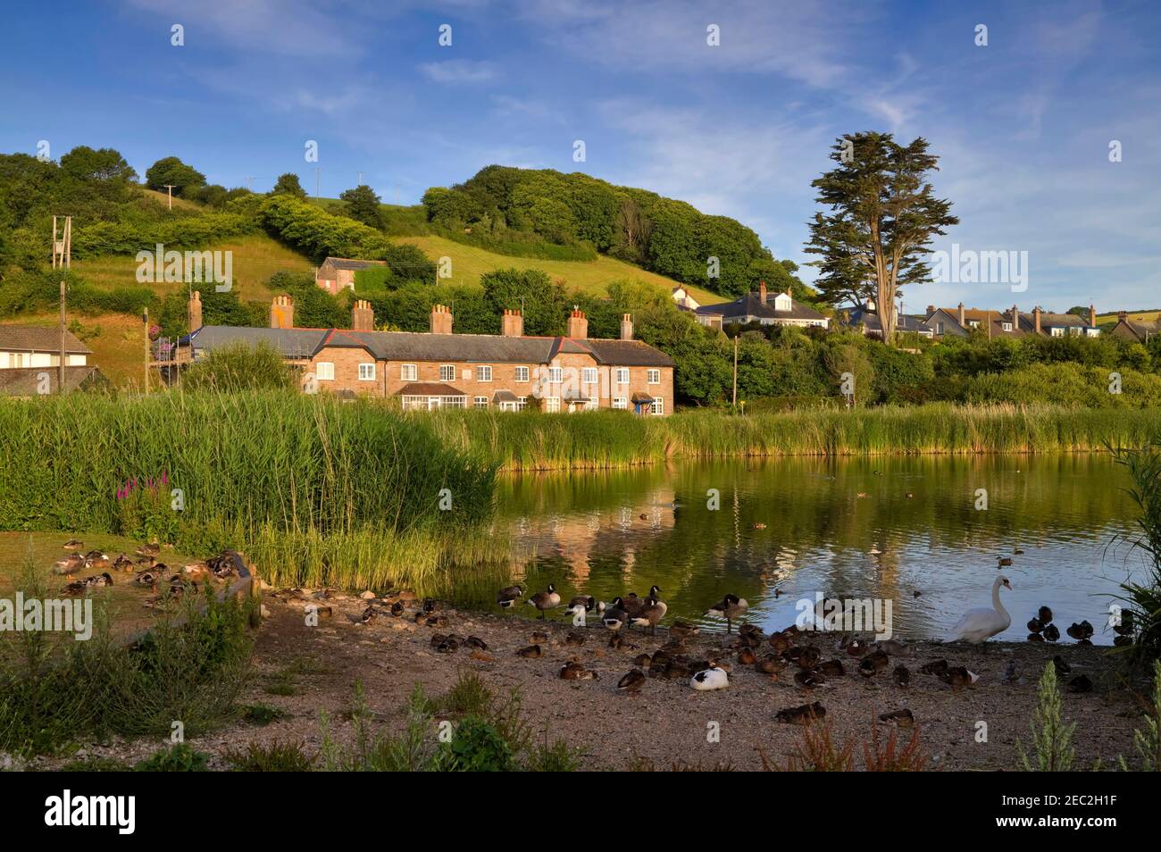Slapton Ley und das Dorf Torcross, South Hams, Devon. Slapton Ley ist ein natürlicher Süßwassersee, der vom Wasser der Start Bay getrennt ist Stockfoto