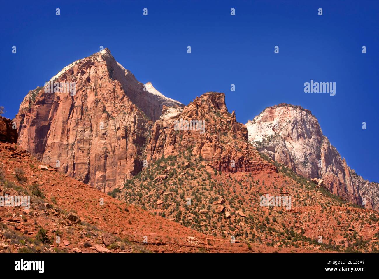 Die Wache steht in der Nähe des Eingangs zum Zion Canyon. Aus Navajo-Sandstein. Stockfoto