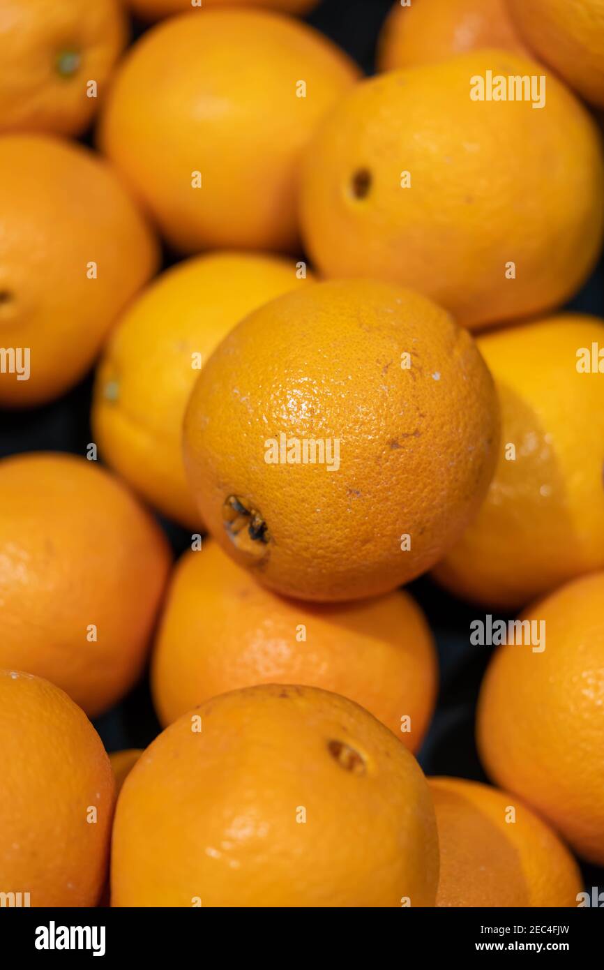 Bündel frische Mandarinen Orangen auf dem Markt Stockfoto