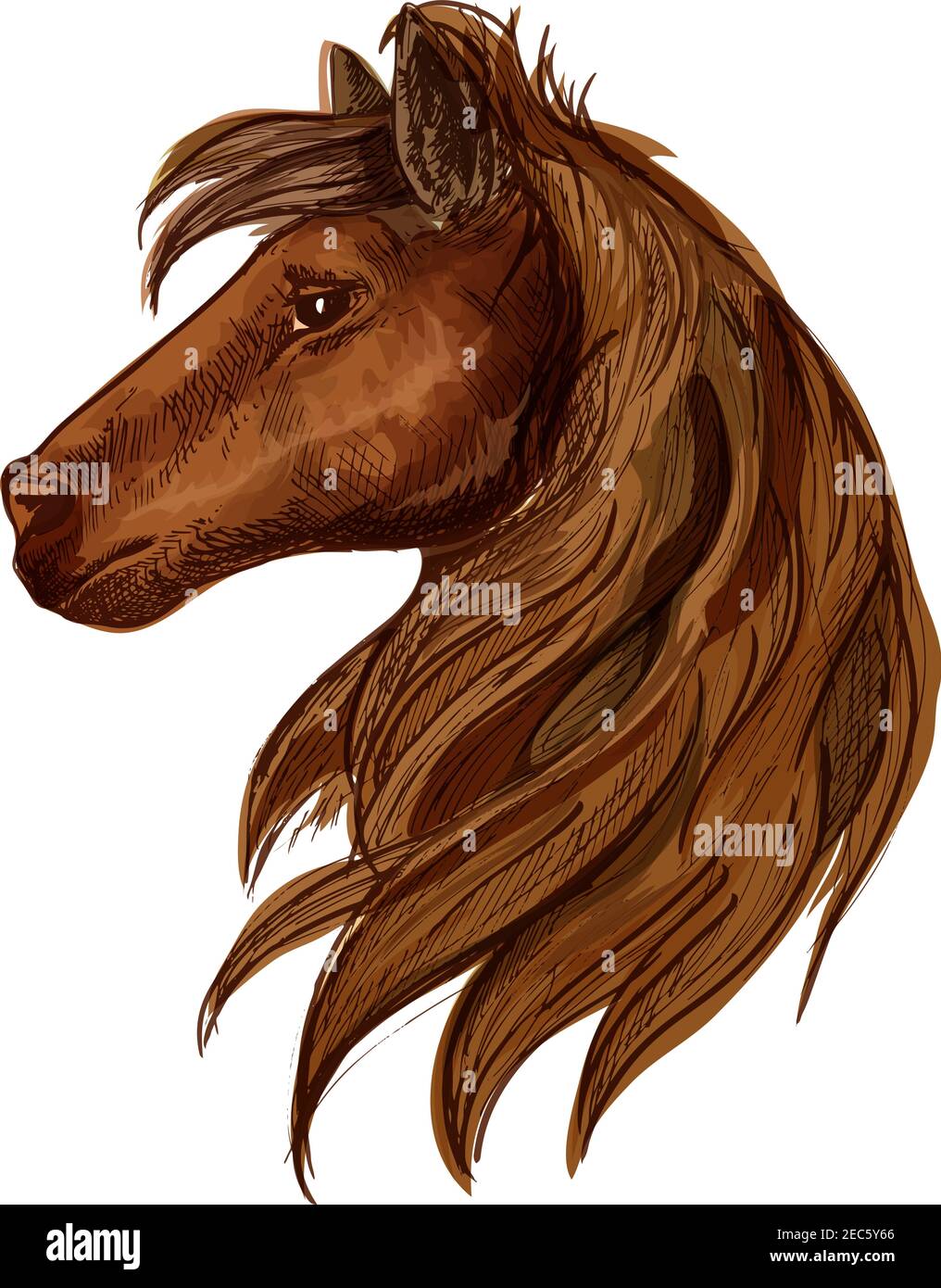 Pferdekopfporträt. Braunes Hengstfohlen mit Mähne und starrenden Augen Stock Vektor