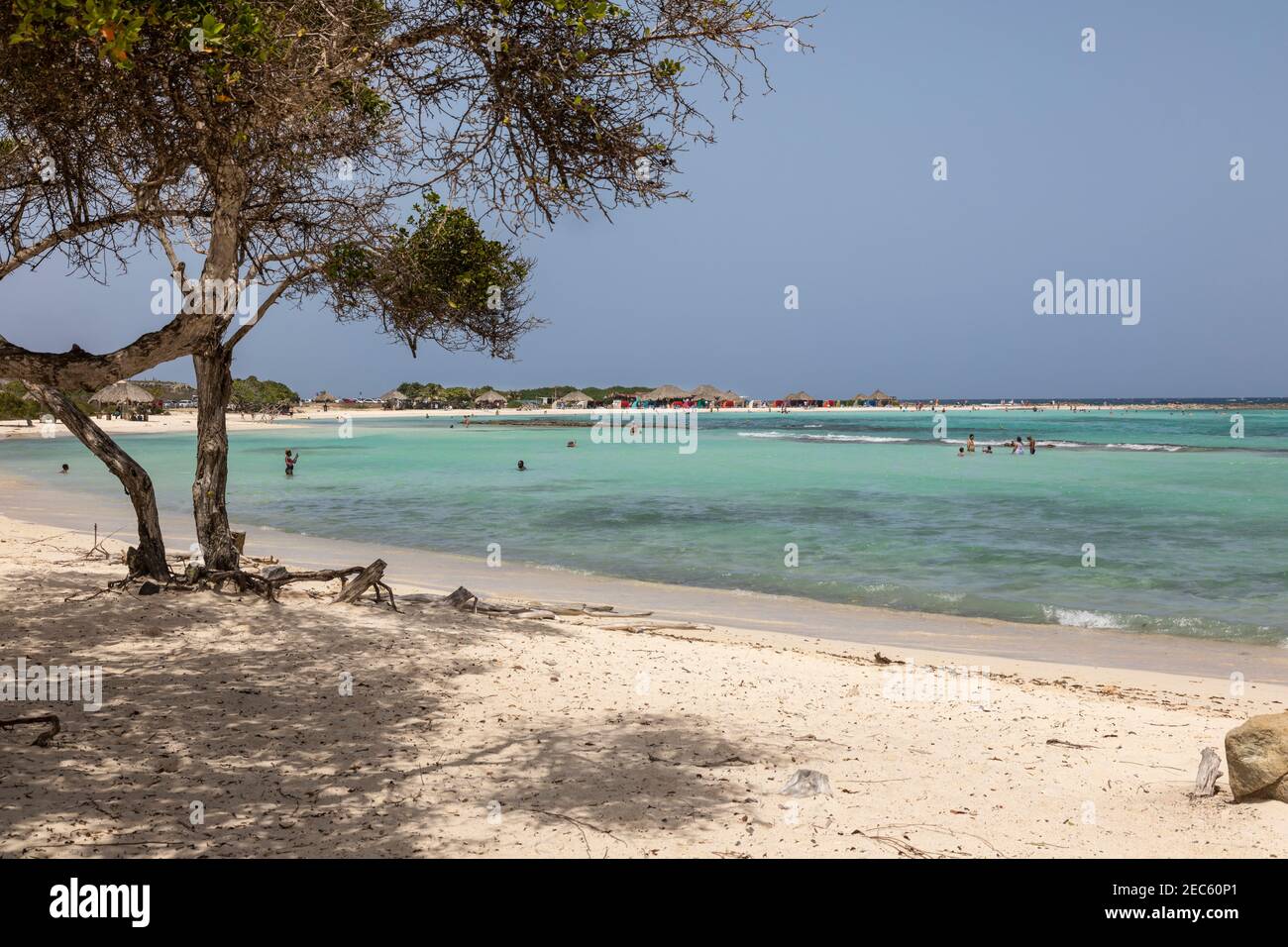 Karibik Baby Beach, Aruba, Karibik Stockfoto