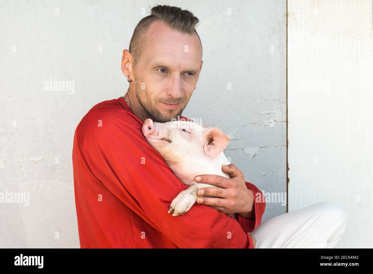 Niedliches Ferkel-Portrait auf Besitzer Hände. Bauer hält schöne junge Schwein. Konzentrieren Sie sich auf Schweinchen. Stockfoto