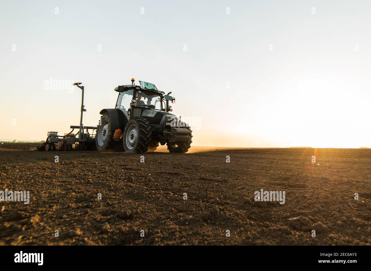 Landwirt mit Traktor Aussaat - Aussaat von Feldfrüchten. Pflanzen, Weizen. Stockfoto