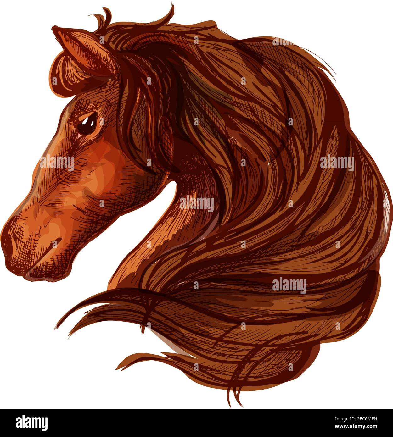 Pferd mit langer gewellter und langer Mähne. Portrait von braunem Lorbeerhengst mit glänzenden Augen und gutherzigen Blicken Stock Vektor