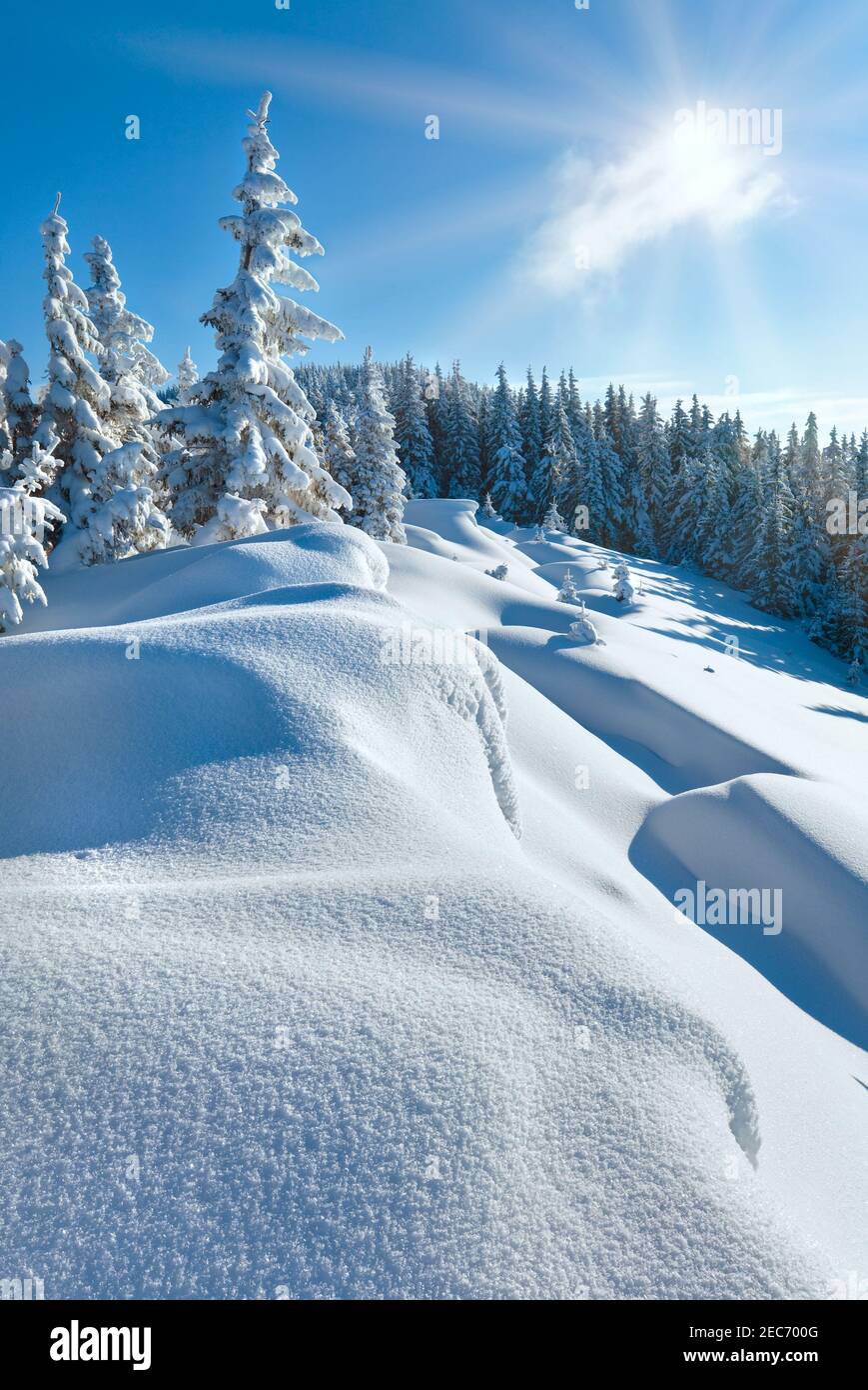 Schneeverwehungen im Winter schneebedeckten Berghang, glänzen Tannen auf Hügel und Sonne am blauen Himmel Stockfoto