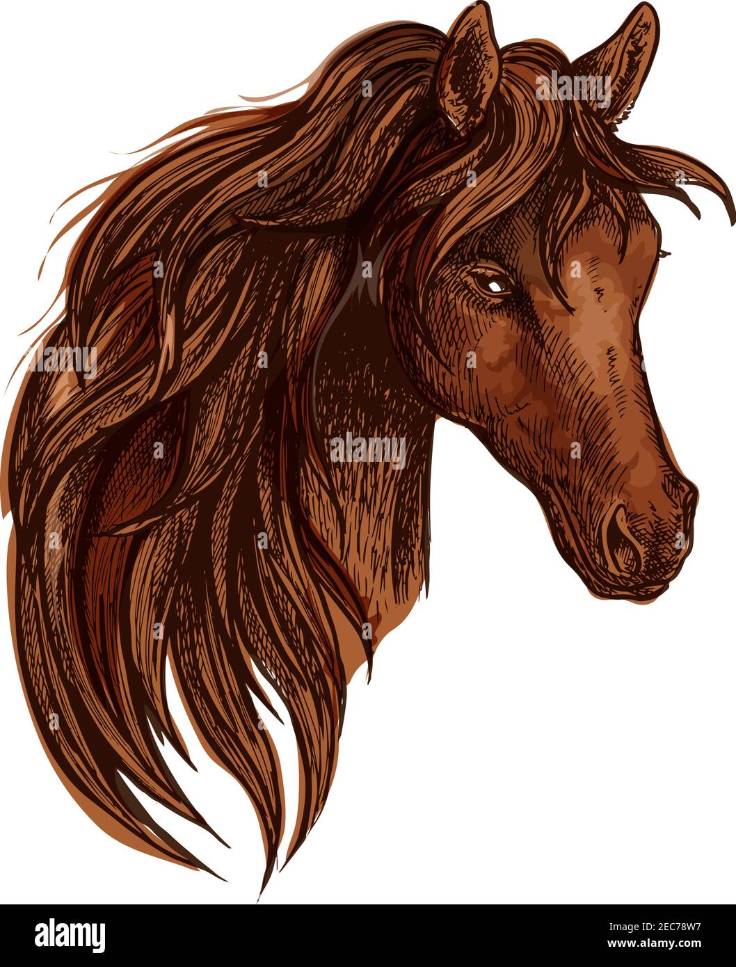 Pferd mit langer gewellter Mähne. Künstlerisches Porträt eines schönen braunen Hengstes mit glänzenden Augen und stolzer Optik Stock Vektor