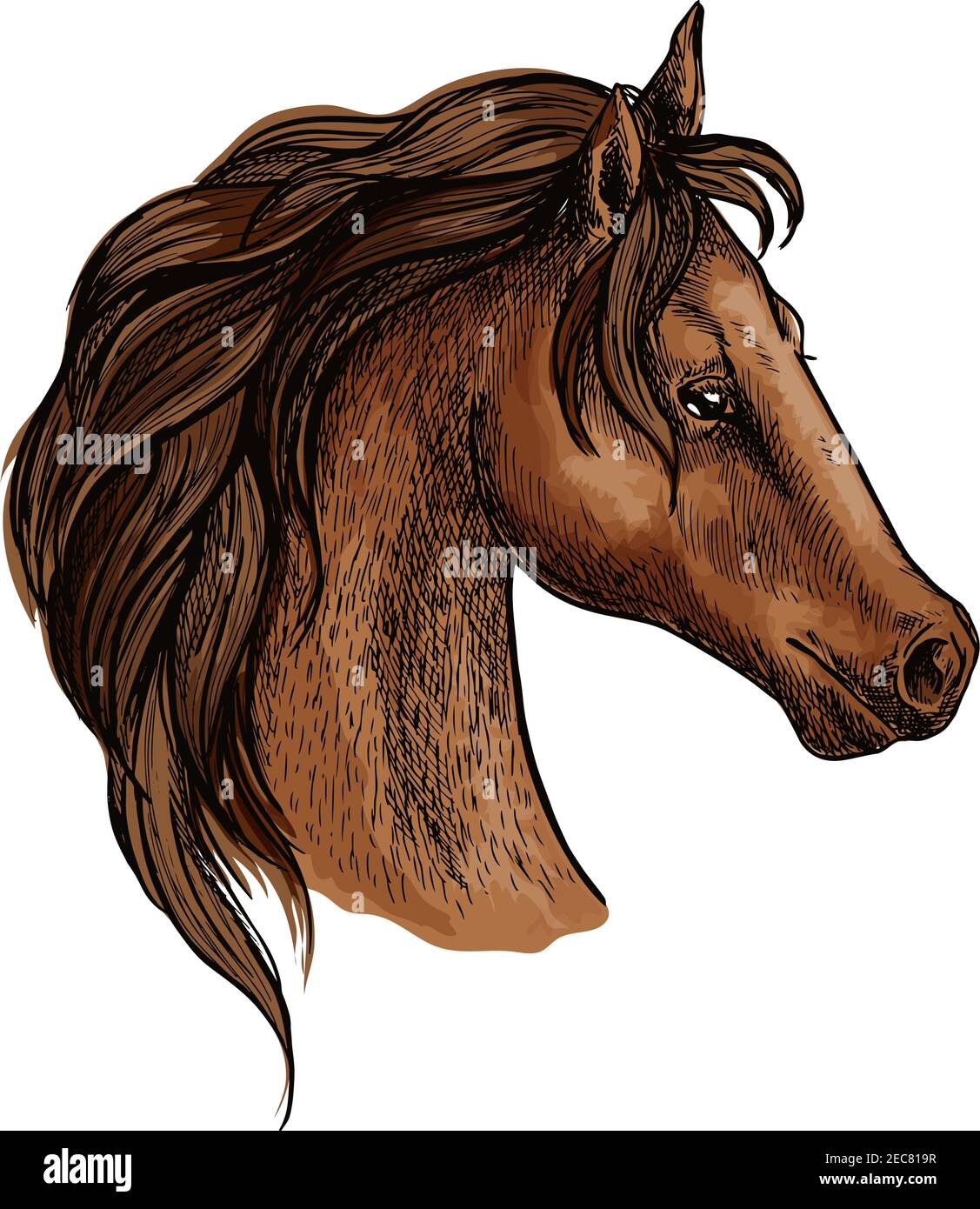 Pferd Kopf Profil Porträt. Stolzer brauner Mustang mit langer welliger Mähne und nachdenklichen nachdenklichen Augen Stock Vektor